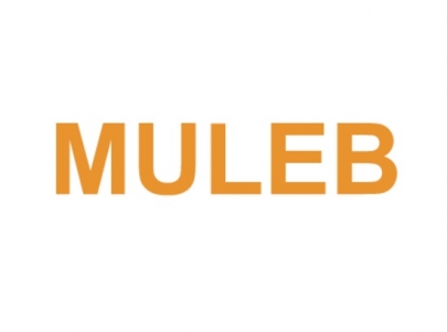 MULEB – Ihr Dienstleistungsunternehmen